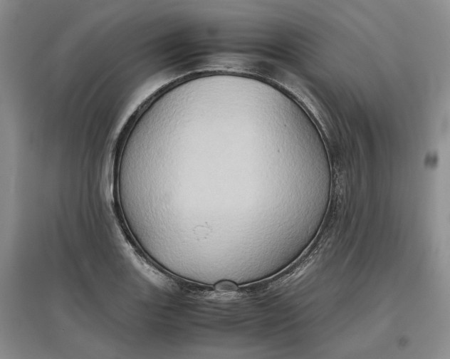 X0000097601131200803141911