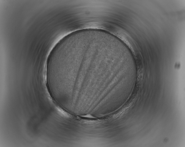 X0000097601132200803141911