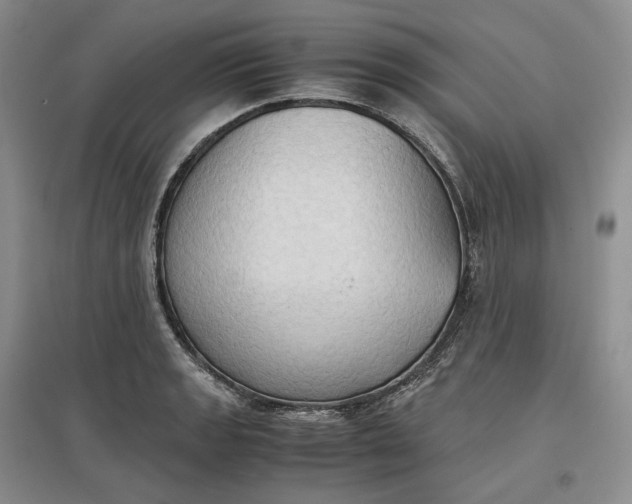 X0000097601133200803141911