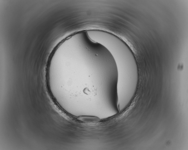 X0000097601134200803141911