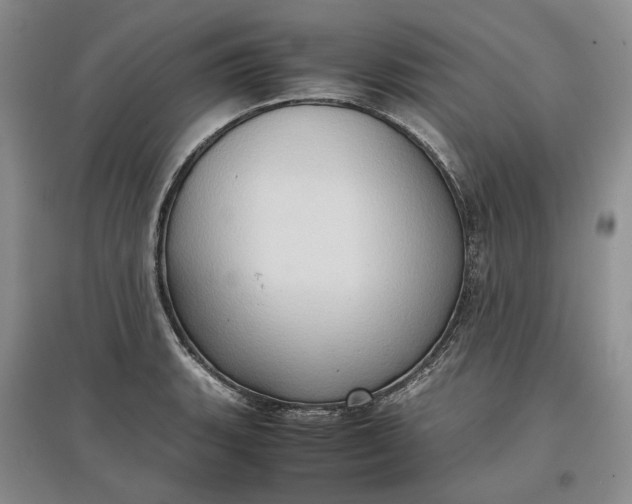 X0000097601135200803141911
