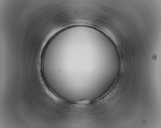 X0000097601136200803141911