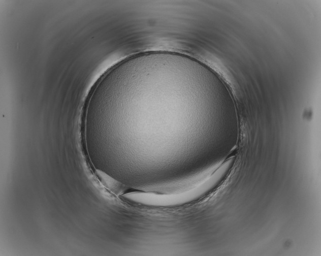 X0000097601138200803141911