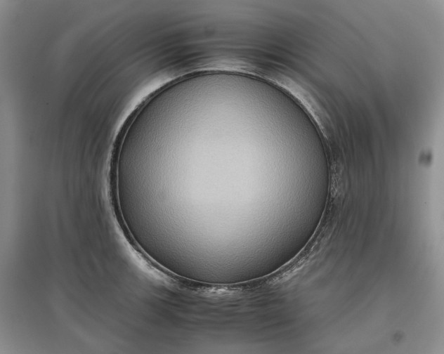 X0000097601139200803141911