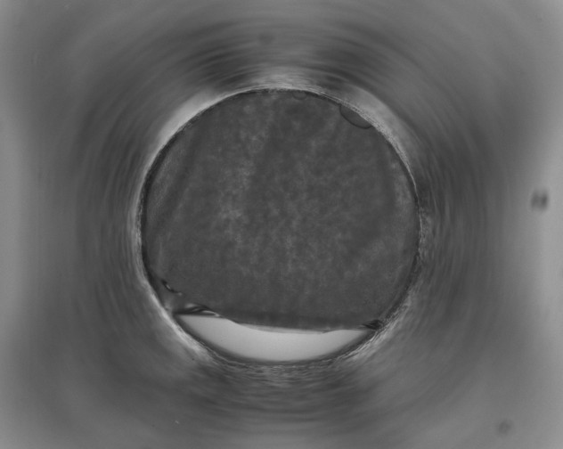 X0000097601141200803141911