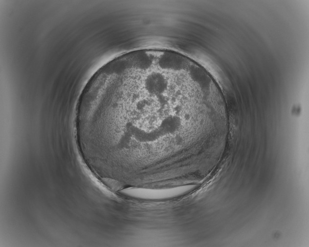 X0000097601142200803141911
