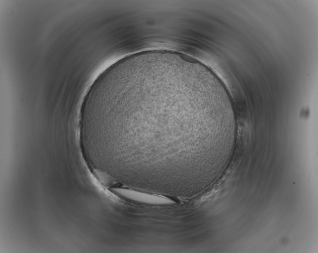 X0000097601143200803141911