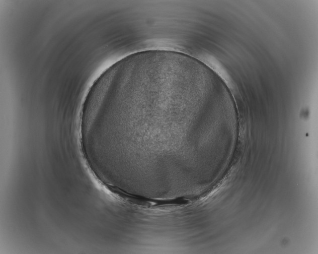X0000097601144200803141911