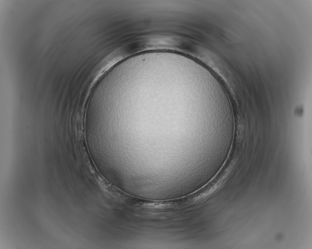 X0000097601145200803141911