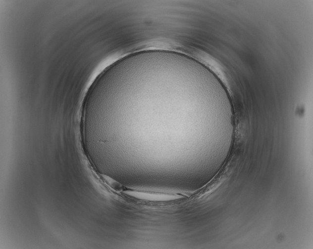 X0000097601146200803141911