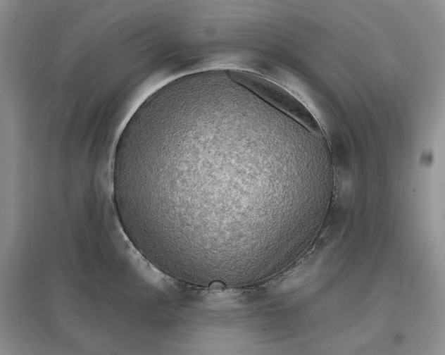 X0000097601148200803141911