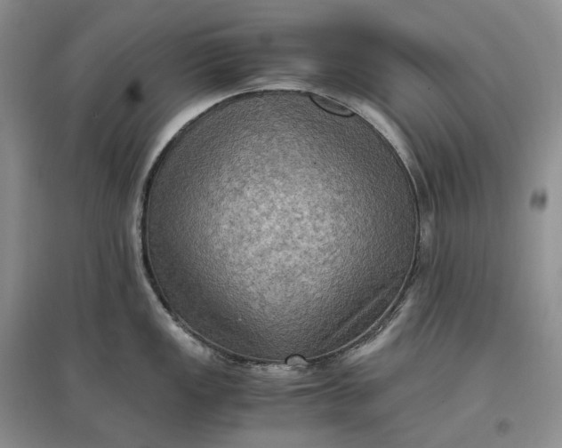 X0000097601149200803141911