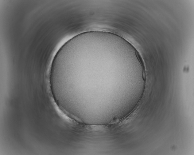 X0000097601152200803141911