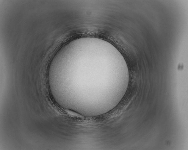 X0000097601153200803141910