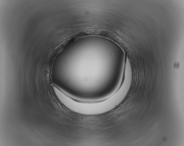 X0000097601154200803141910