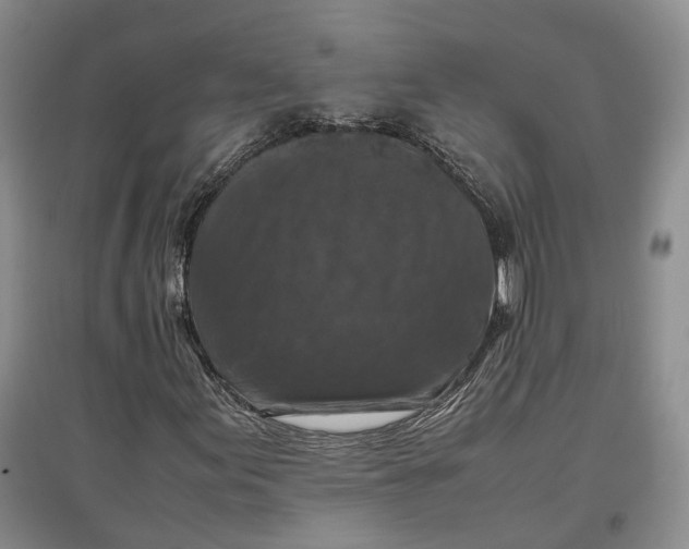 X0000097601155200803141910