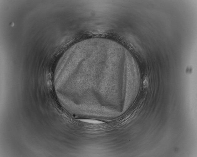 X0000097601156200803141910