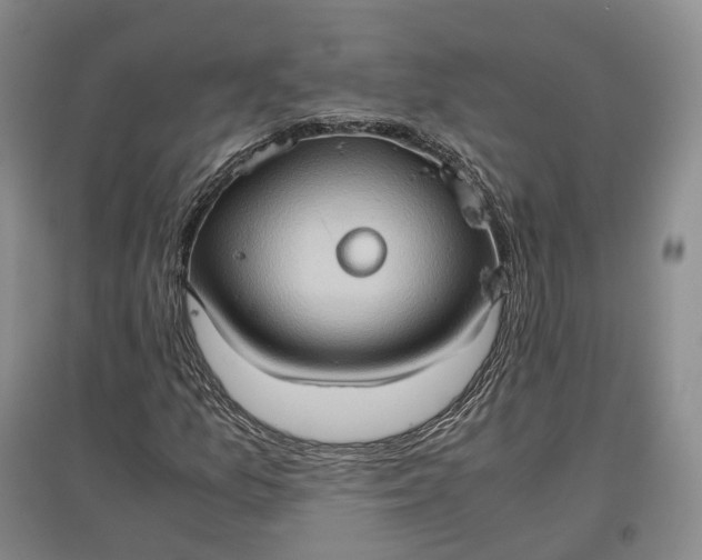 X0000097601157200803141910