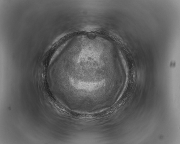 X0000097601158200803141910
