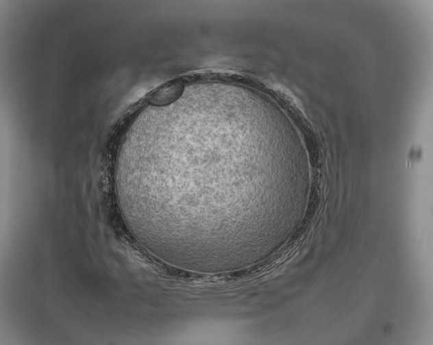 X0000097601159200803141910