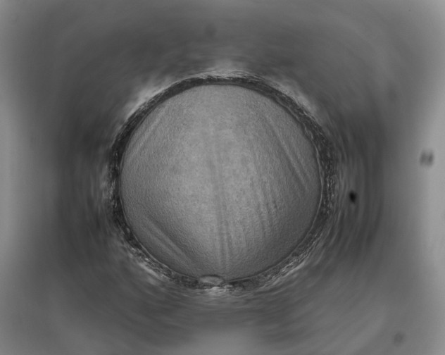 X0000097601160200803141910