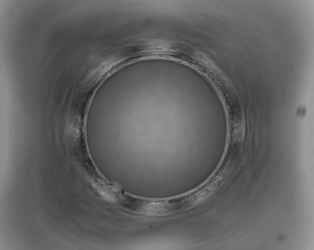 X0000097601161200803141910
