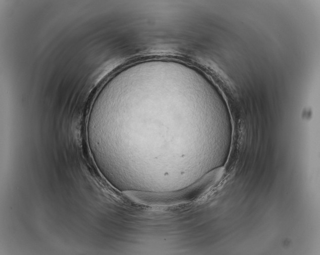 X0000097601162200803141910
