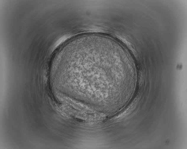 X0000097601163200803141910