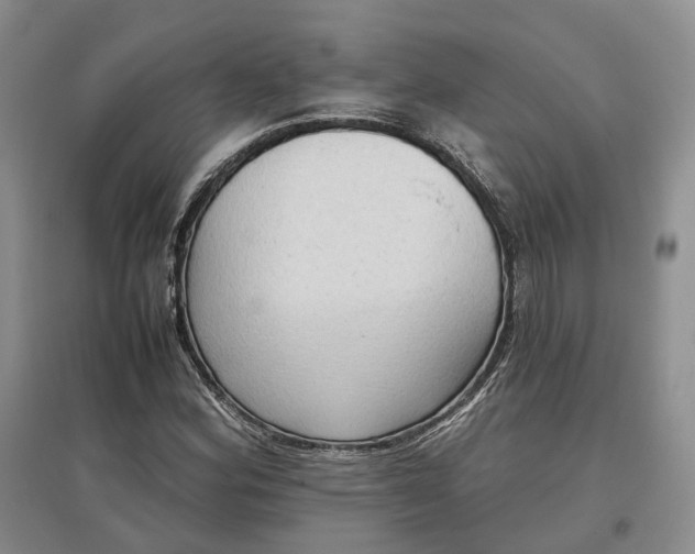 X0000097601164200803141910