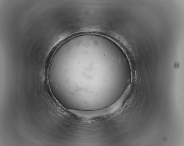 X0000097601165200803141910