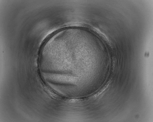 X0000097601166200803141910