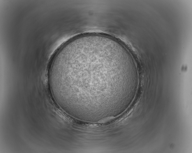 X0000097601167200803141910