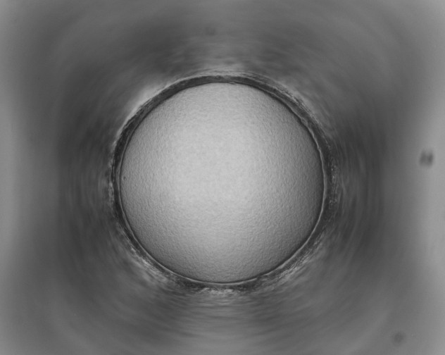 X0000097601168200803141910