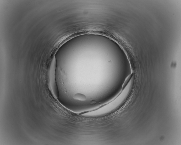 X0000097601169200803141910