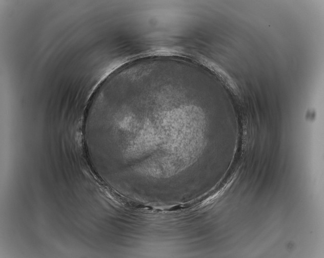 X0000097601170200803141910
