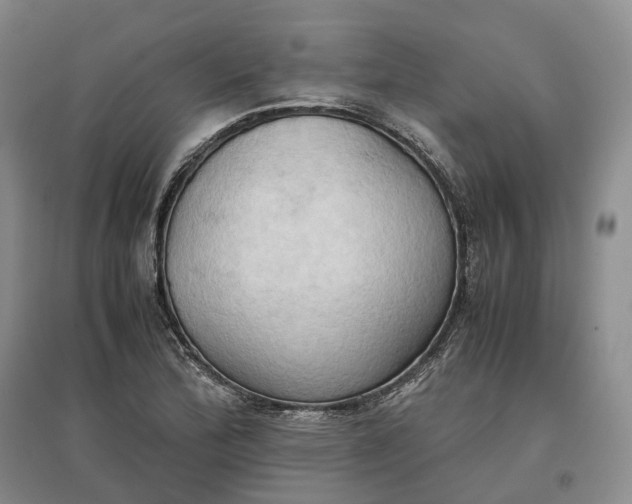 X0000097601172200803141910