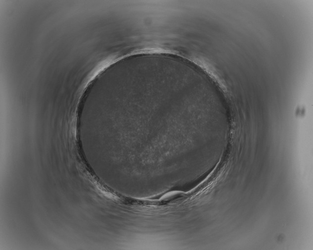 X0000097601173200803141910