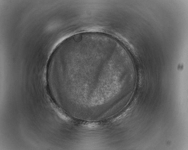 X0000097601174200803141910