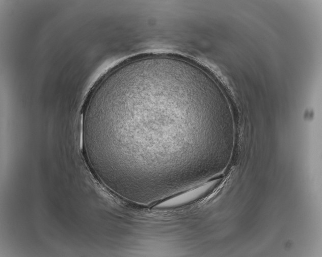 X0000097601175200803141910