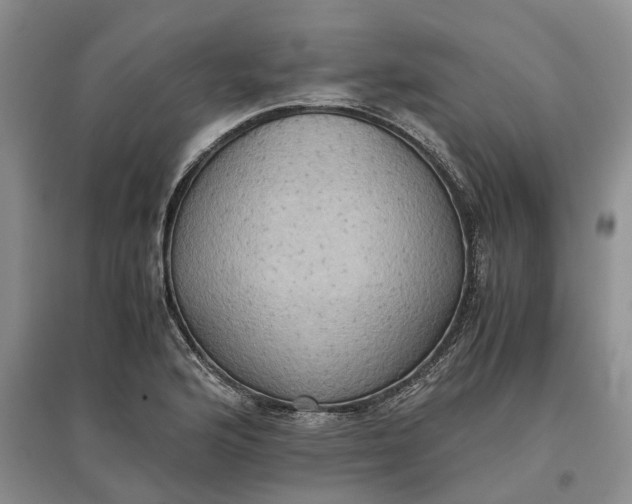 X0000097601176200803141910
