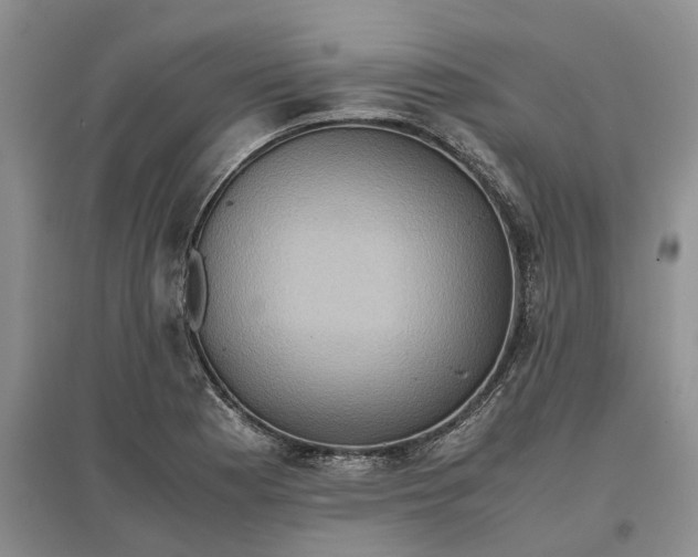 X0000097601177200803141910