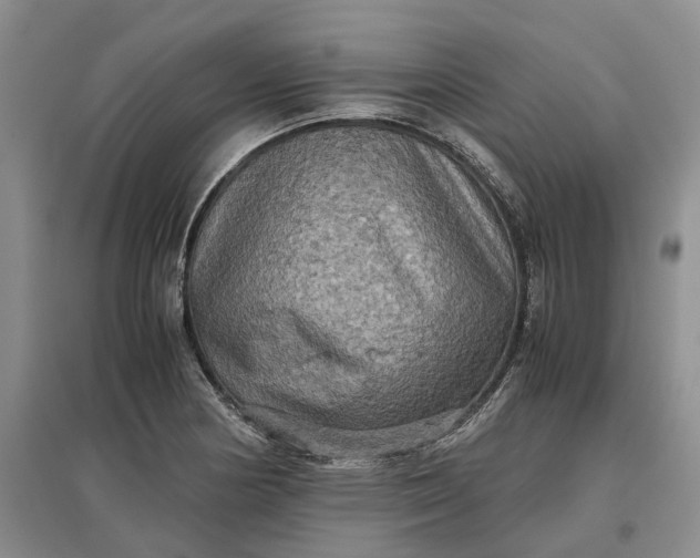 X0000097601178200803141910
