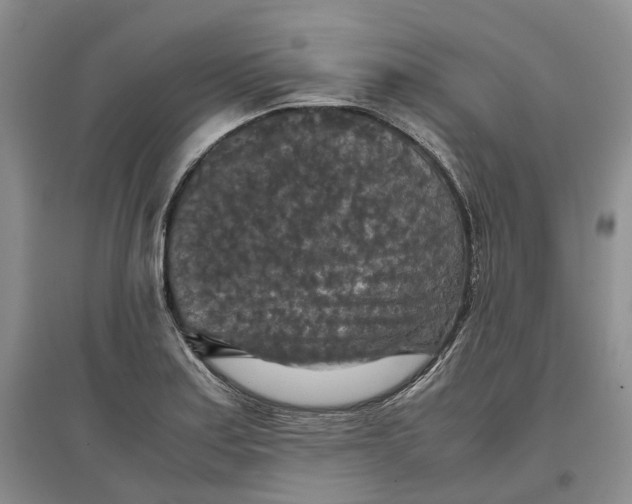 X0000097601179200803141910