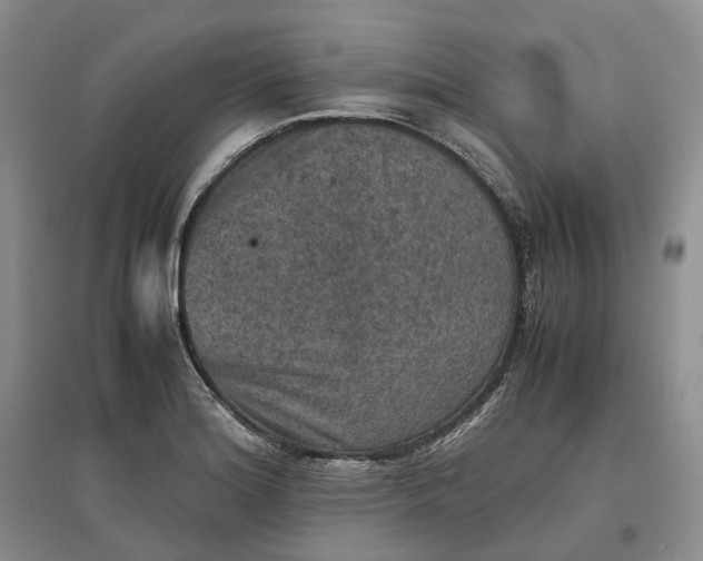 X0000097601180200803141910