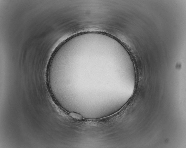 X0000097601181200803141910