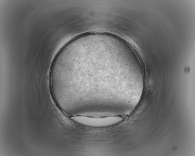 X0000097601183200803141910