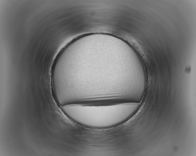 X0000097601184200803141910
