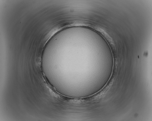 X0000097601185200803141910
