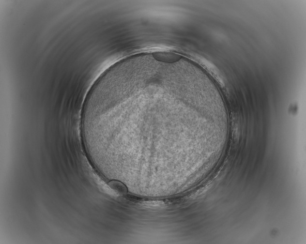 X0000097601186200803141910