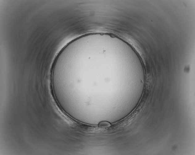 X0000097601187200803141910